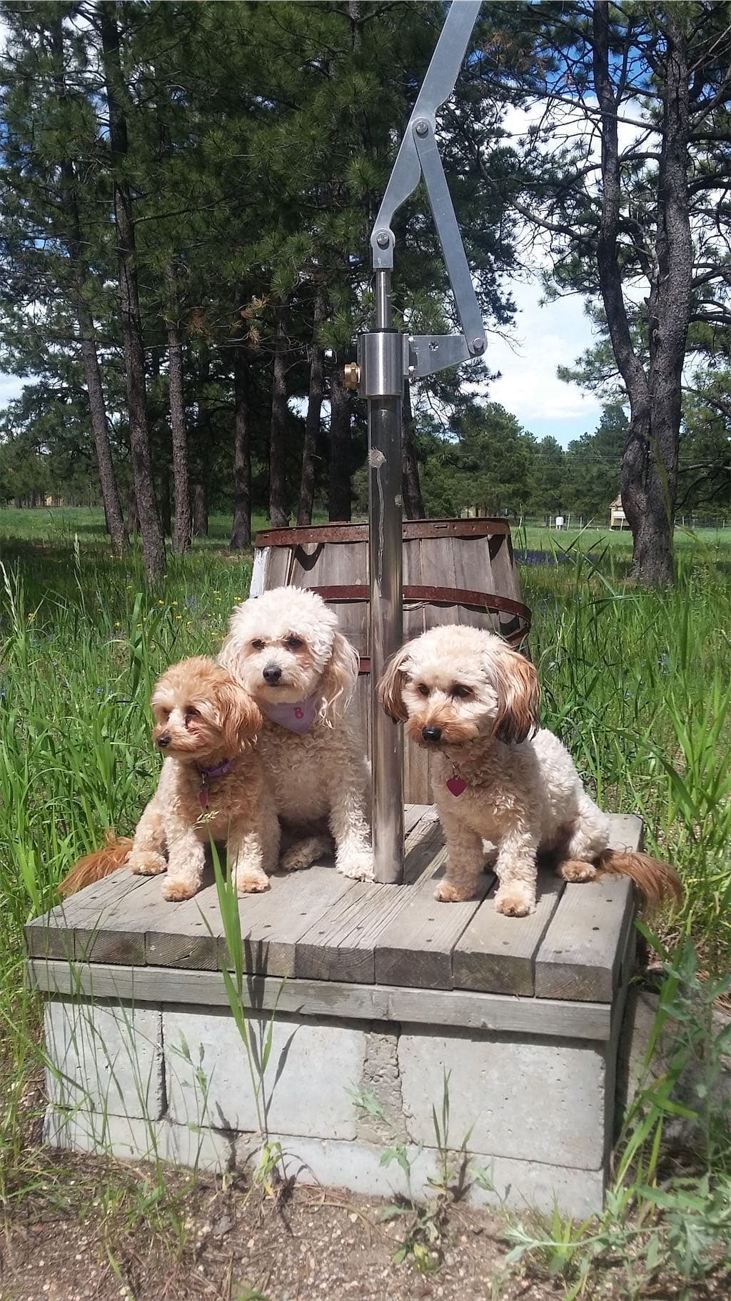 Customer Installation - Deep Well Pump Installation
